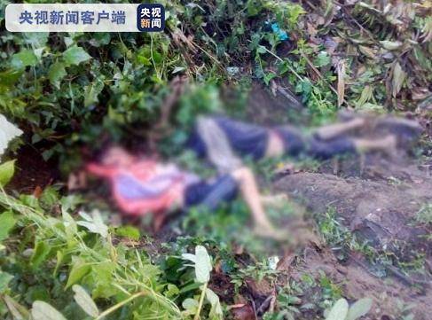 吴年温|缅甸掸邦发生大象踩踏事件 已致4人死亡