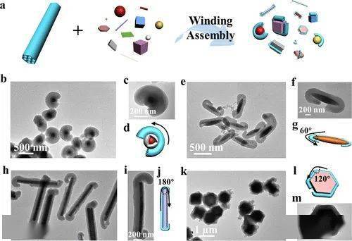 一维生物大分子的缠绕在生物大分子的构建中占有重要地位,比如dna双