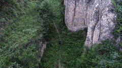 千古|一场逃难，被他写成了千古名篇