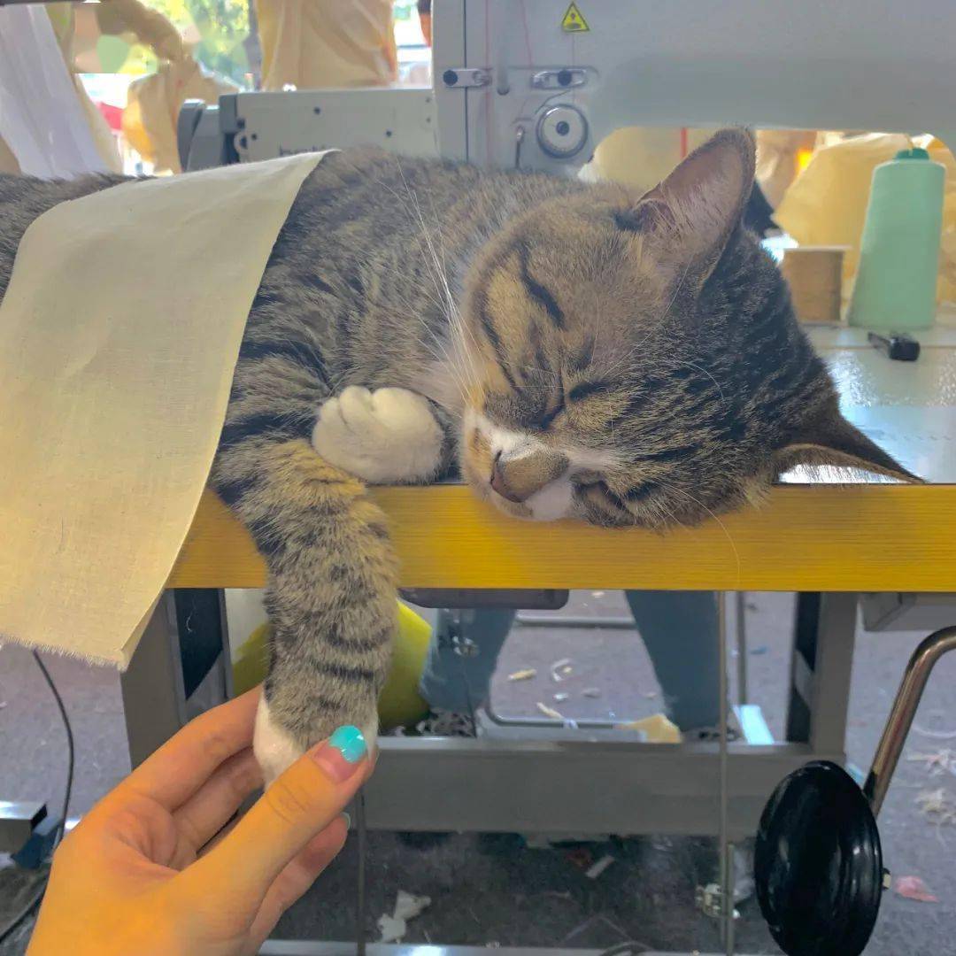 生活|幸好五年前，我大一退学了