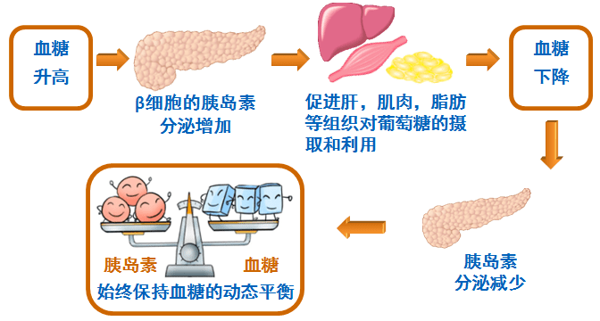 01153cebb6204e049aa68b723b179e4b.png