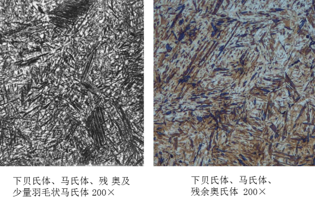 马氏体,奥氏体,珠光体,20种材料彩色金相,带你轻松识别!