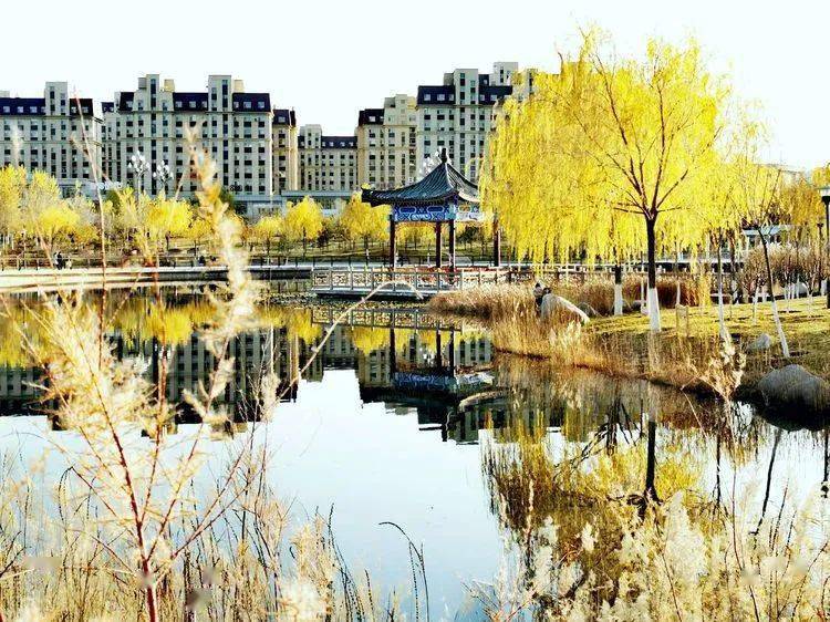 视觉金昌 | 金昌西湖立冬美景