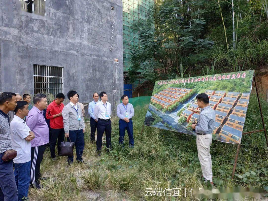 茂名这里规划建造300多幢别墅,让村民住,有你村吗?