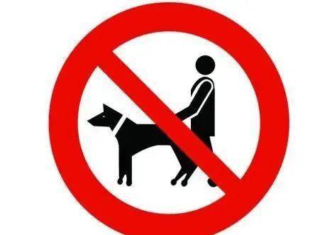 云南:威信县禁止城区遛狗,发现违反三次狗就被捕杀!大家懵了