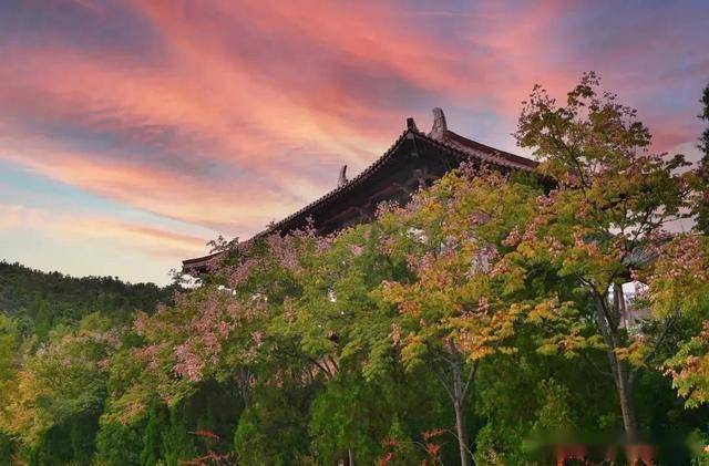 风吹白云,霜染枫叶,南山景区,整片山峦都覆盖上浓郁的色彩,橙黄红绿在