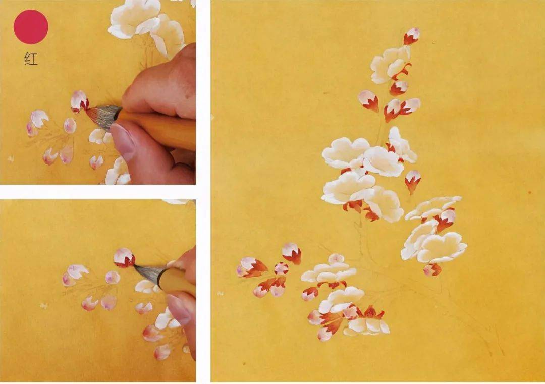 工笔彩墨——杏花画法,喜欢收藏
