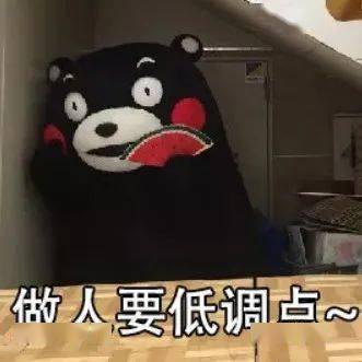 bba19b068c9a453bac92d9dfd4357052.jpeg