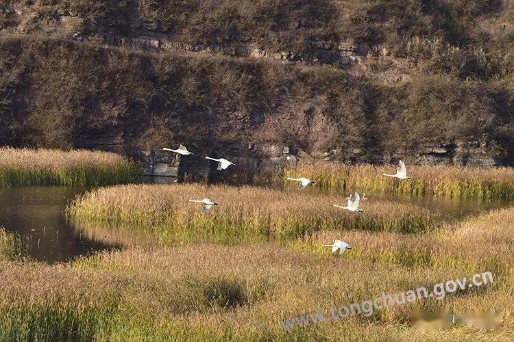 小丘村人口_铜川小丘镇坳底村
