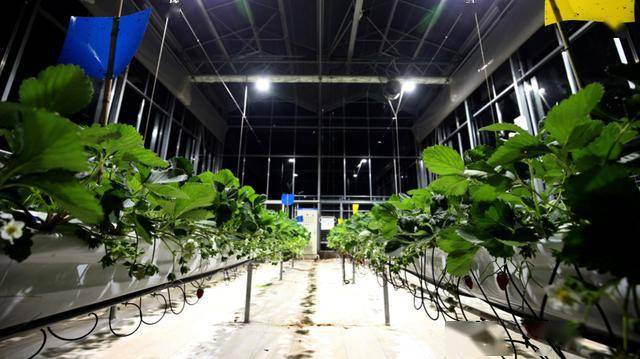 山东gdp去水_山东地图(2)