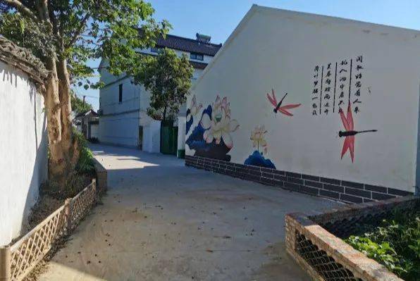农村人居环境整治的"八坼经验"_手机搜狐网