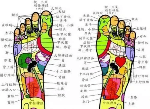 因为脚底对应着身体不同的脏器,于是整个童年我的足底常常被"丢"到