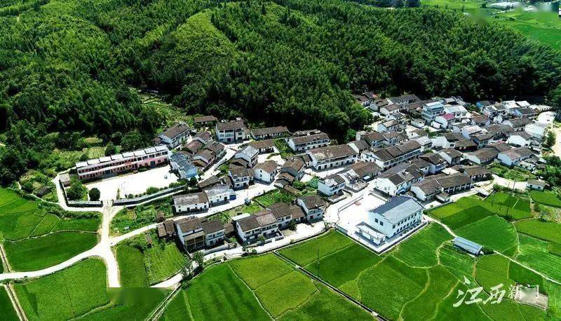 黎川洵口镇GDP_黎川杨刚杨正被蒱现场(2)