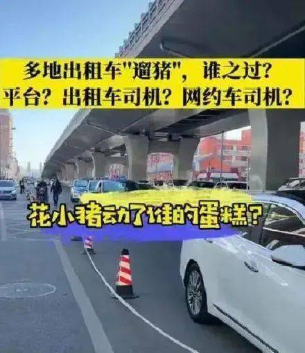 现在什么网约车平台司机的补贴高 dc06c75956ca44858a96c1f308459380.jpeg
