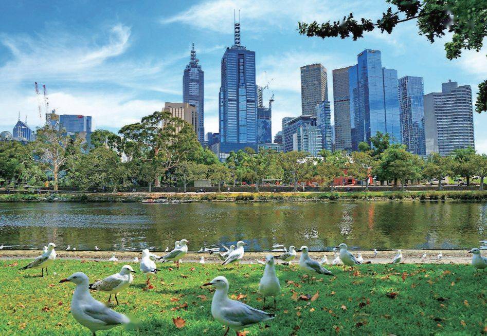 2020年全球最宜居城_全球最宜居的五座城市,此城连续7蝉联冠军