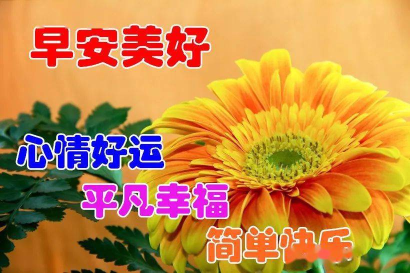 2020早上好祝福语动态图片带字,早上好动态祝福图片表情