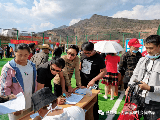 大姚招聘_2017年度钦州市中小学教师公开招聘工作公告