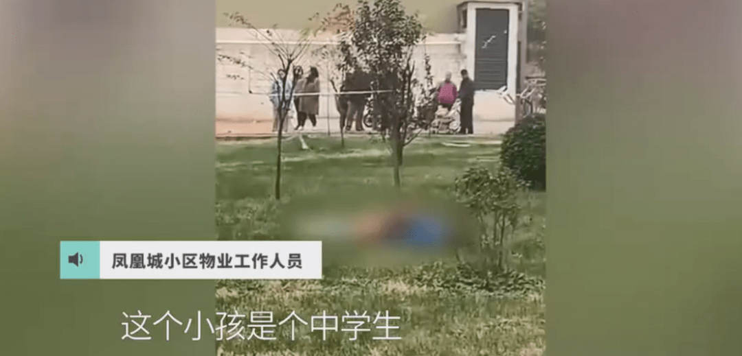 年轻的生命就这么没了邯郸一13岁女孩跳楼当场身亡疑似心理压力过大