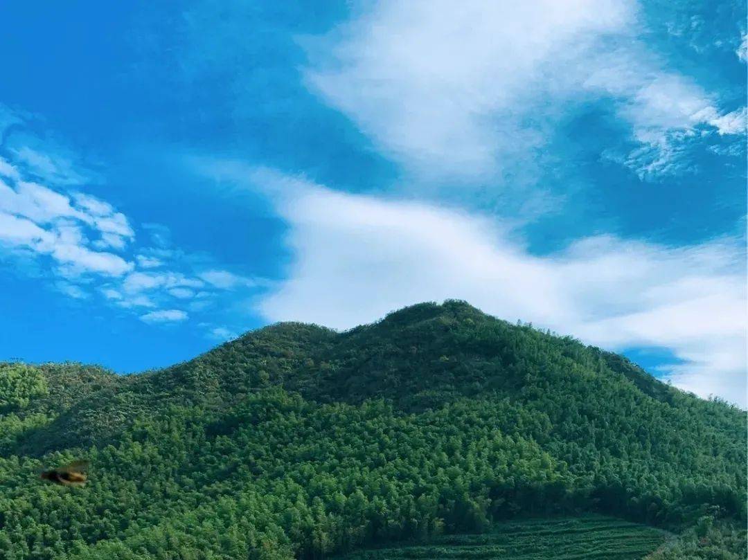 秋意大径山|森林古道藏踪,高山美景远眺——百丈