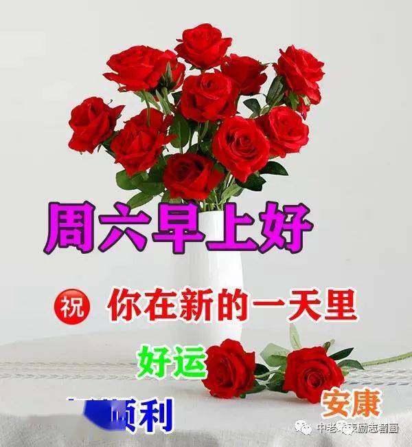 简单的早晨问候语 a599486e14ed47a69879c84453b273c7.jpeg