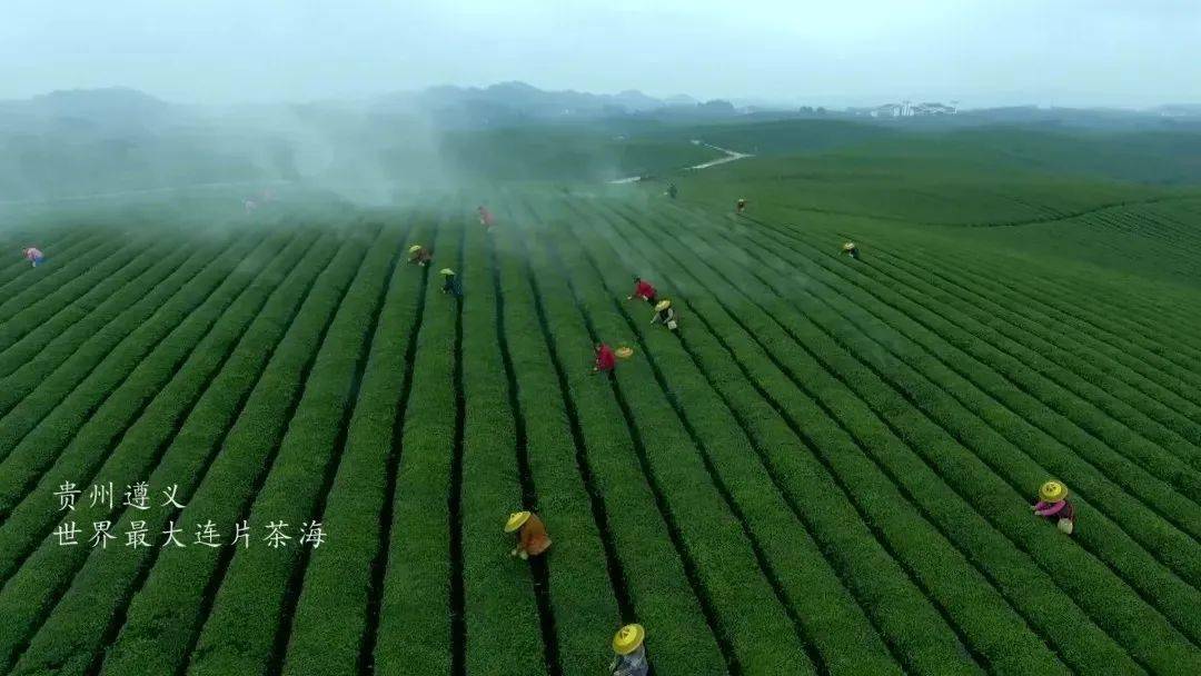 湄潭gdp_湄潭茶壶图片