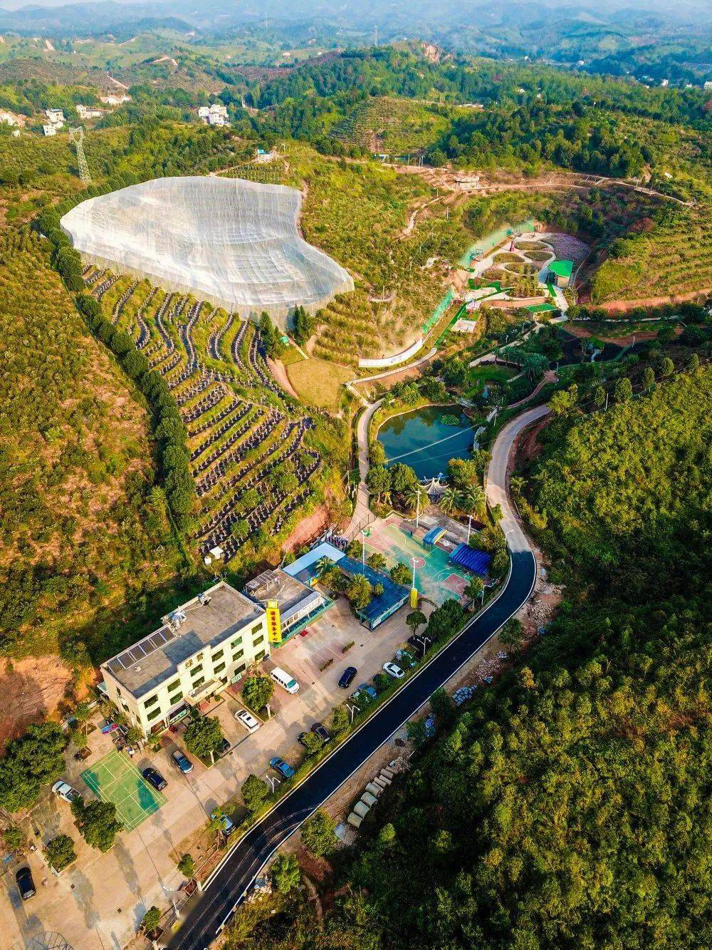 龙川县岭GDP_龙川县贝岭中学图片