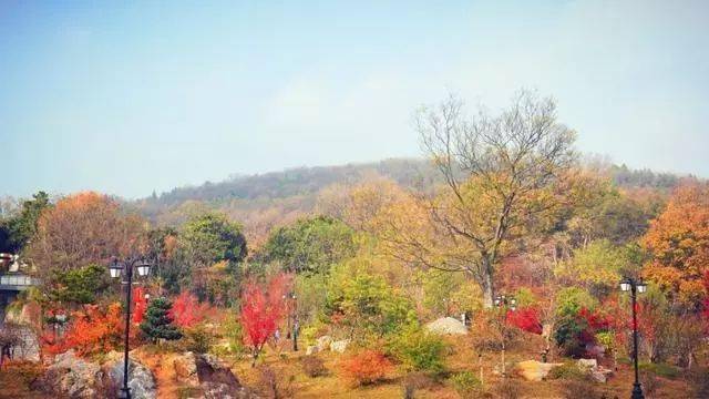 邢台秋天旅游景点大全[邢台秋天旅游景点大全排名]