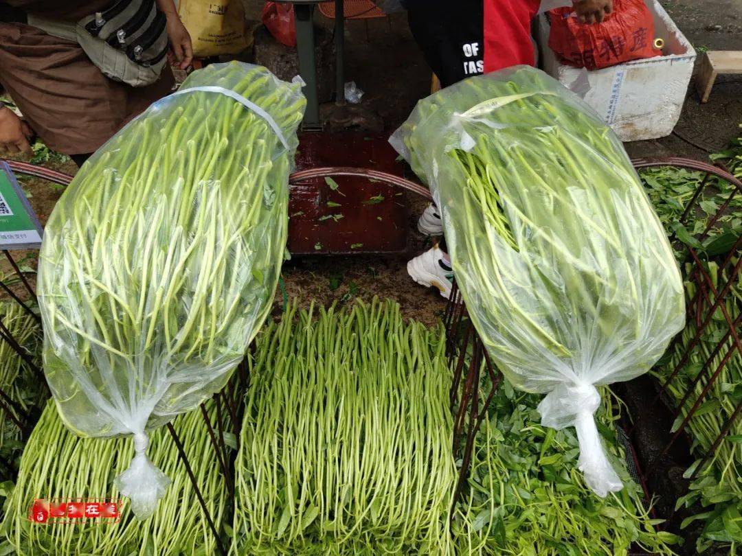 骄傲博白蕹菜博白芋苗继博白桂圆之后喜获国家认定地理标志证明商标