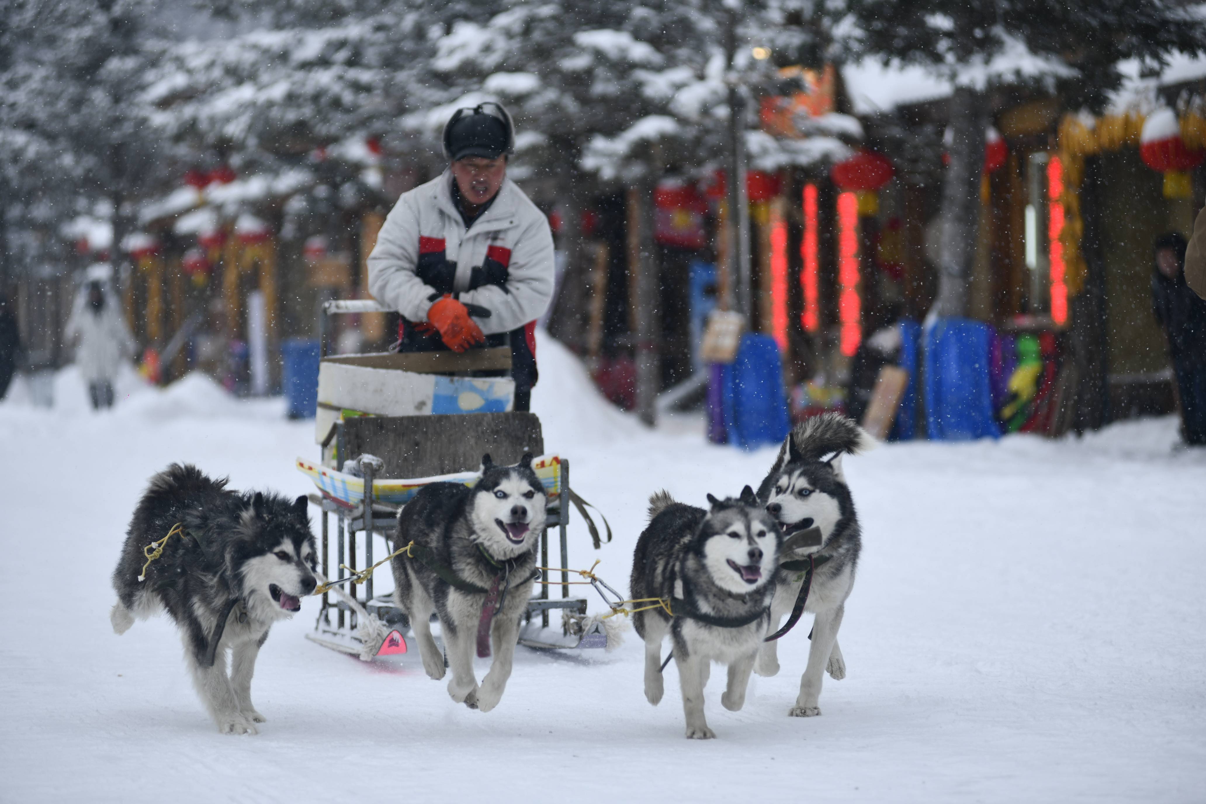 新华社照片,哈尔滨,2020年11月20日黑龙江:雪乡景区开园迎客11月20日