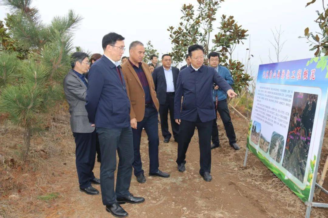 市政府秘书长韩尚富督查秋冬季国土绿化工作