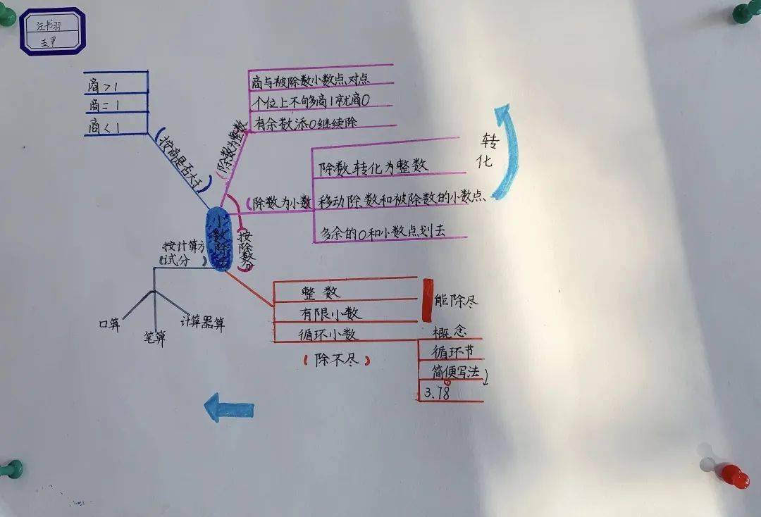 数学思维导图——记双语部五年级数学作业展