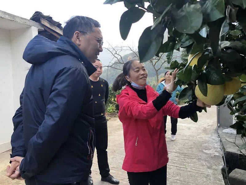 11月16日至19日,市政协主席卢智绘带领各副主席及部分政协委员,对东