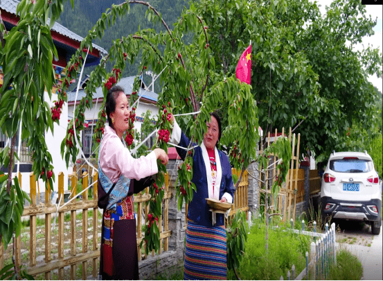 林芝各县经济总量_林芝到各县的分布图(2)