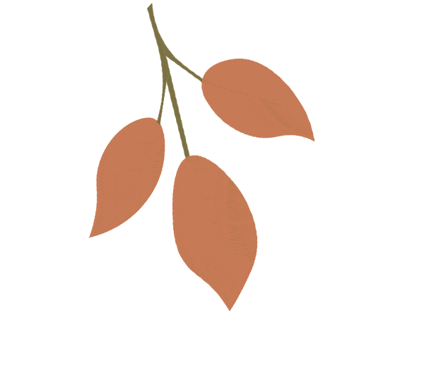 600_518