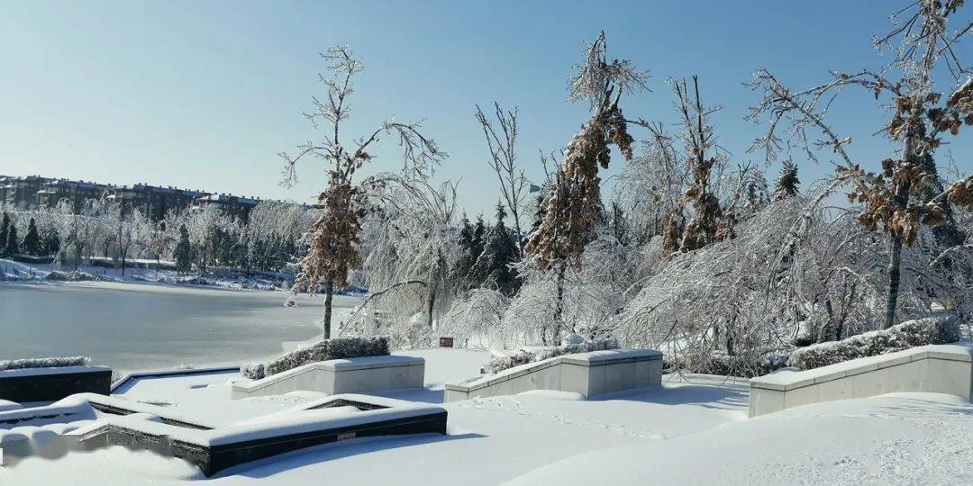 长春雪景有多美看这一条就够了