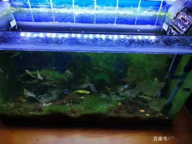 c7db1a75c6084953bfaf72bfa7f38ae4.jpeg