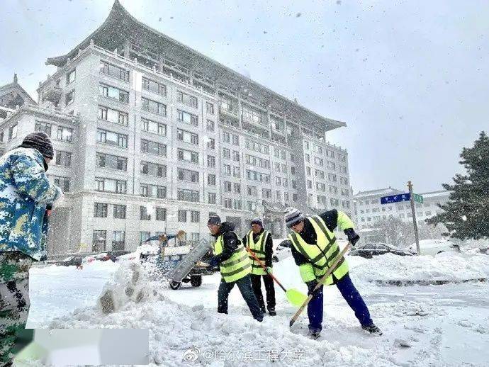 吉林大学东北大学东北林业大学东北师范大学兰州大学内蒙古大学内蒙古