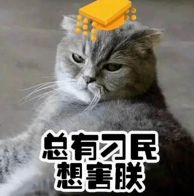 刁民|怀孕就要把猫扔掉？猫：总有刁民想害朕！