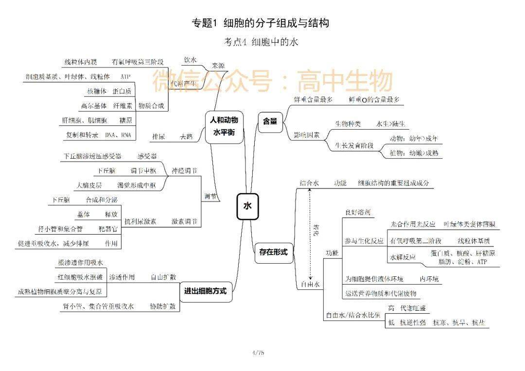 学霸脑图2021年高考生物知识框架细胞的分子组成与结构知识点总结