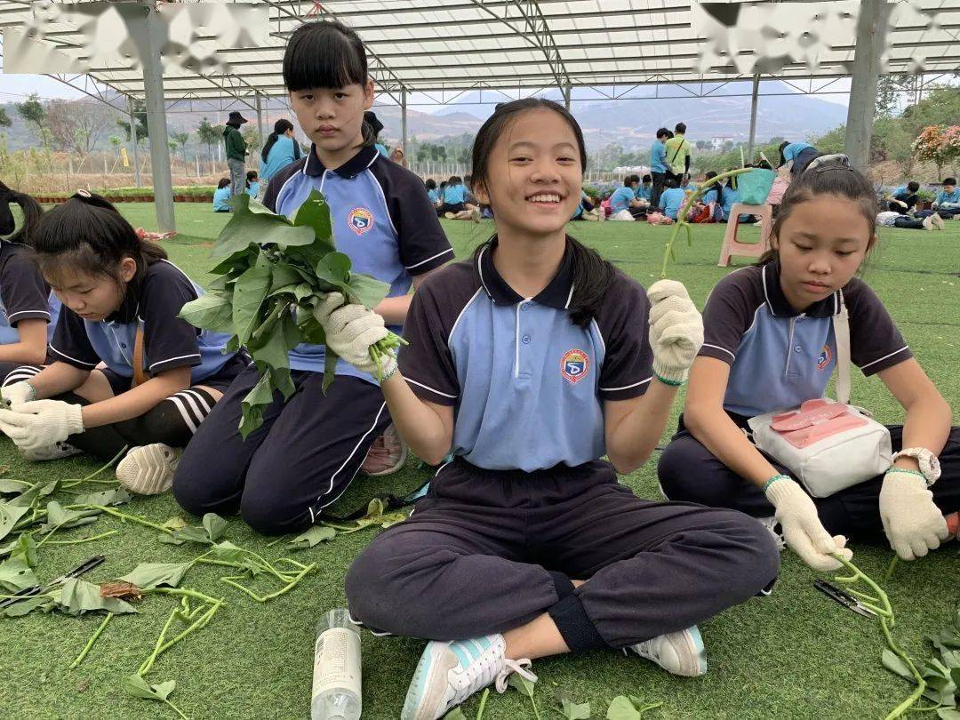 研学活动树树皆秋色劳动正当时德胜学校小学部六年1班亲子研学活动