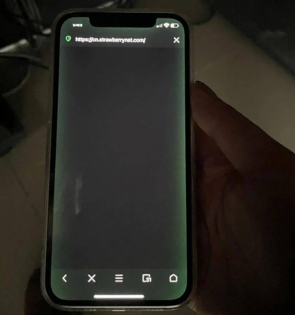 苹果屏幕怎么看发绿