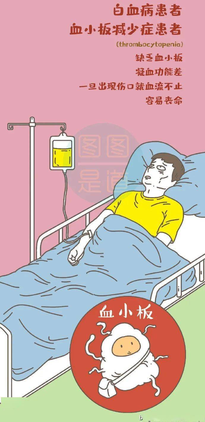 【血液科普】漫画--我们的血液!