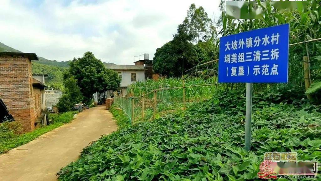 大山里的花园--北流市大坡外镇分水村