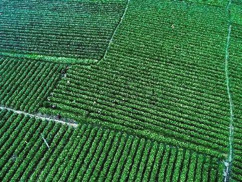 安康2020各县GDP_安康各县地图(2)