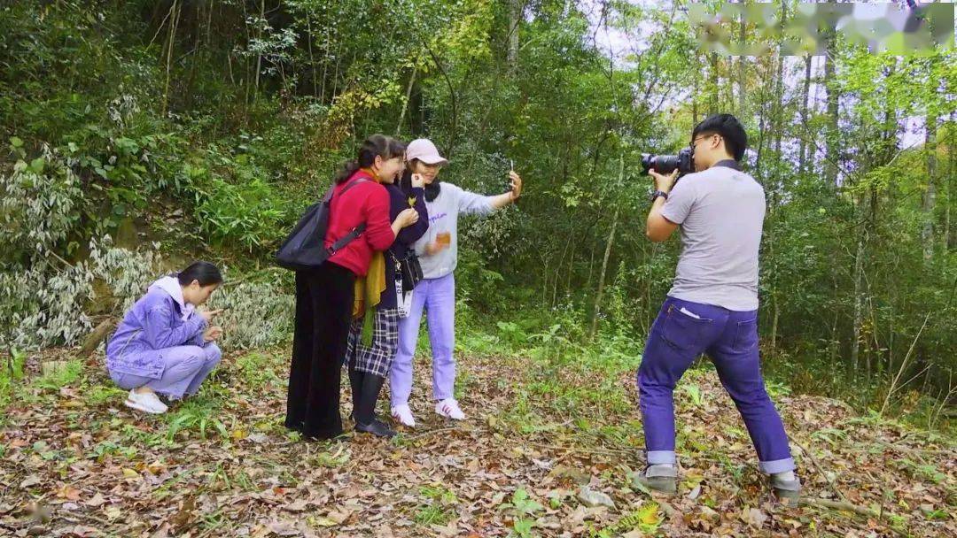 环江:这里诗意满满红枫林 喜迎游客赏美景