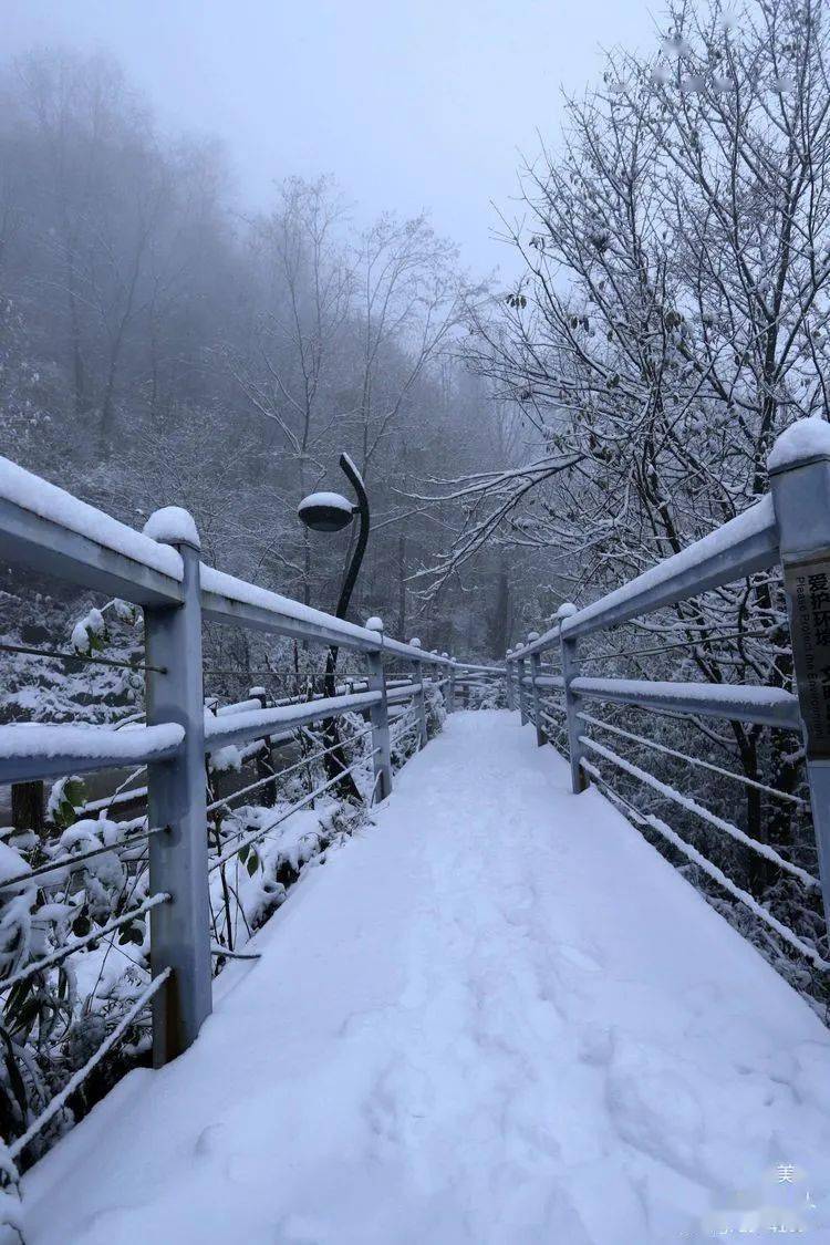 汉中开启赏雪模式!银装素裹好似童话世界!