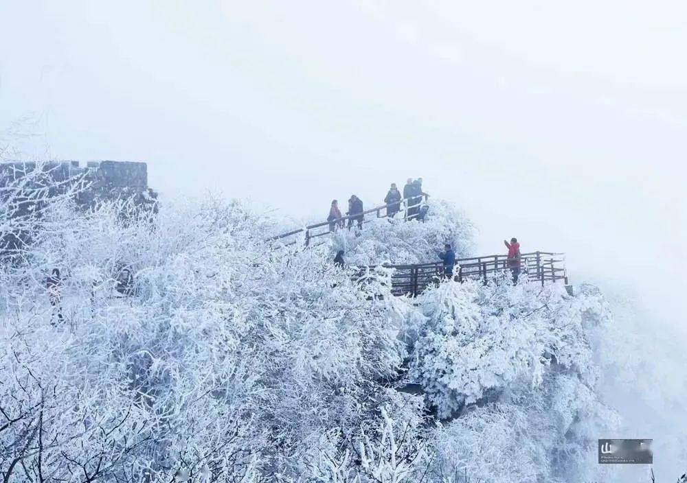 让您足不出户"漫步"雪中光雾山~央视新闻对光雾山进行了直播在巴中