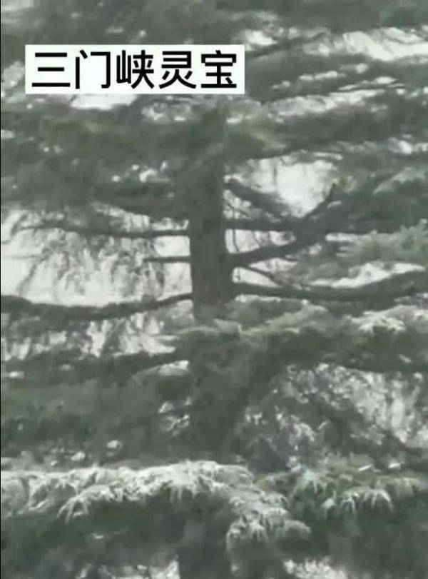 21b8367052e74bf8907489c587335680.jpeg