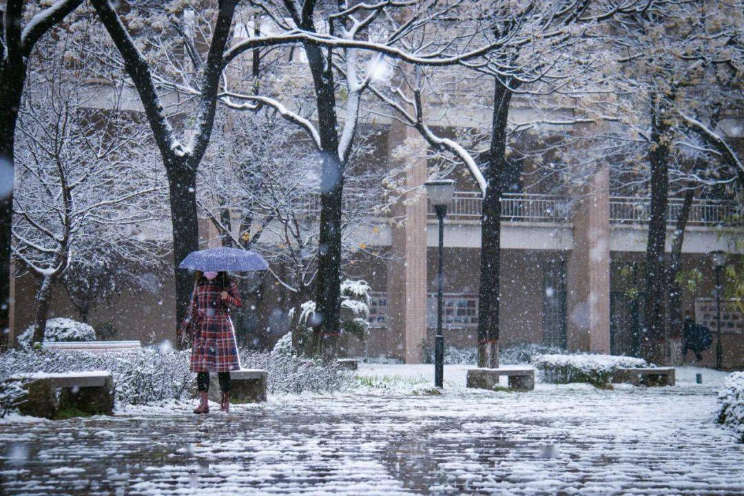 灵动的身影 挥一挥衣袖 只留下寒冷的讯息 遥远天光与朦胧雪光交织