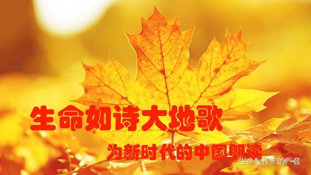 歌什么颂什么成语_成语故事图片